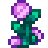 Fairy Rose Growing Guide – Stardew Valley