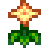 Summer Spangle Growing Guide – Stardew Valley