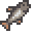 Where to Catch Chub in Stardew Valley